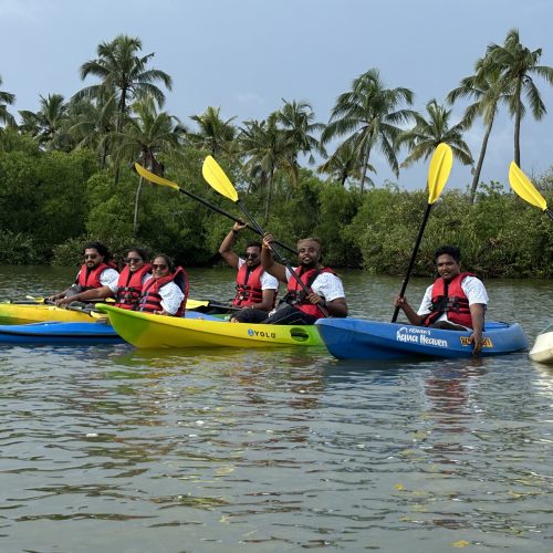 Aquaheaven: Kayaking group