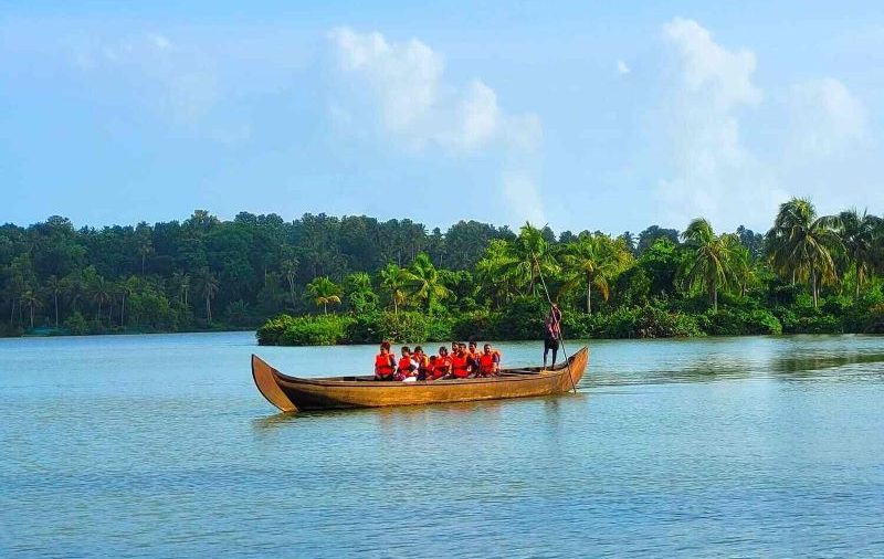 Mangrove Forest Country Boat Tour: A Journey Through Nature's Wonderland